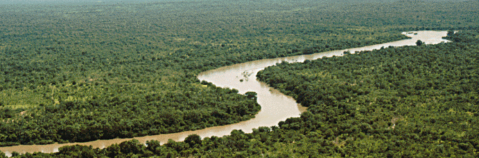 River_gambia_Niokolokoba_National_Park.gif