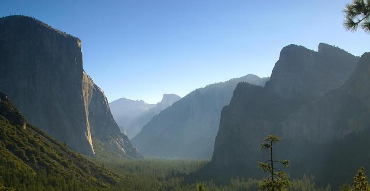 Yosemite_Morning.jpg