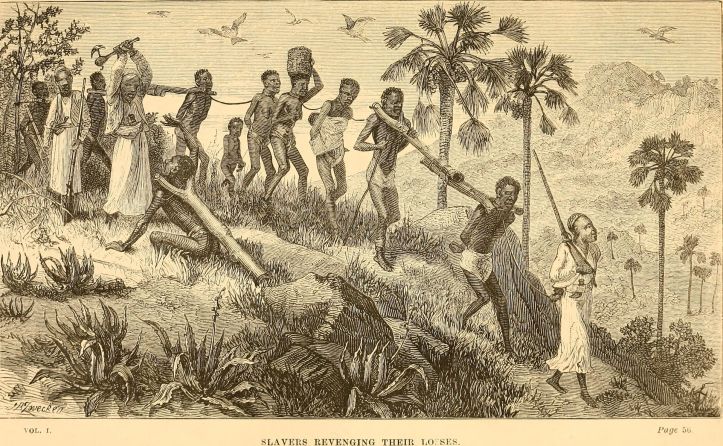 The_Last_Journals_of_David_Livingstone,_in_central_Africa_(1874)_(14783837922).jpg