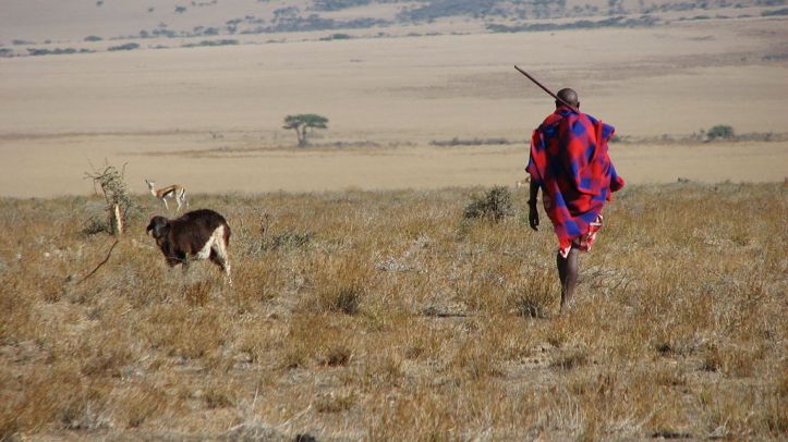 Maasai_man,_Eastern_Serengeti,_October_2006.jpg